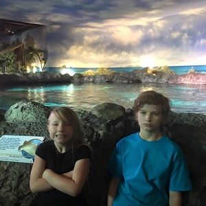 Meet your Posher, Crystal